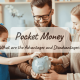 Pocket Money - Advantages and Disadvantages BIGPriceDrops